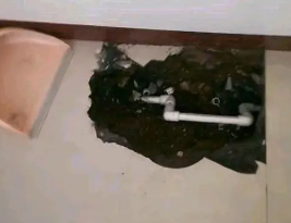 河池市卫生间测漏水多少钱